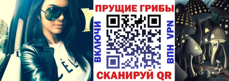 Купить где  Красный Кут  Галлюциногенные грибы мухоморы 